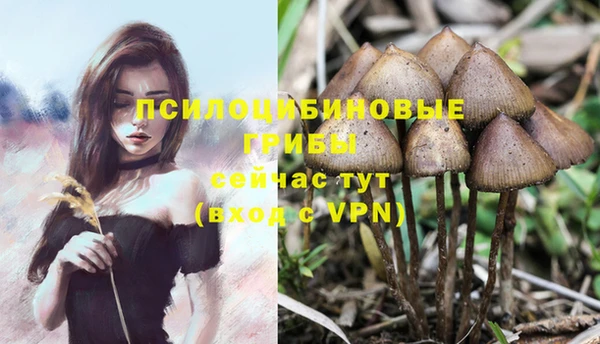 спиды Корсаков