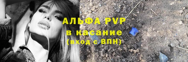 спиды Корсаков