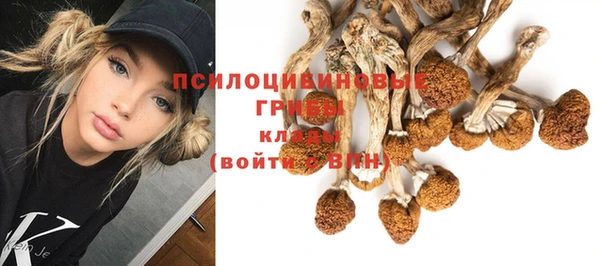ALPHA-PVP Коряжма
