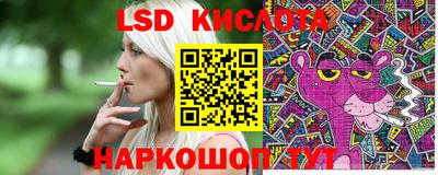 индика Гусь-Хрустальный