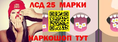 индика Гусь-Хрустальный