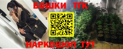 индика Гусь-Хрустальный