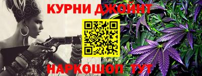 индика Гусь-Хрустальный