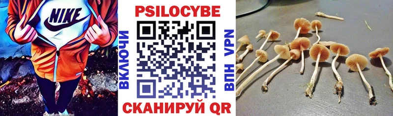 дарнет шоп  KRAKEN как войти  Псилоцибиновые грибы прущие грибы  Нижнекамск 
