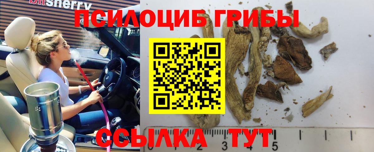 Галлюциногенные грибы прущие грибы  Нижнекамск 